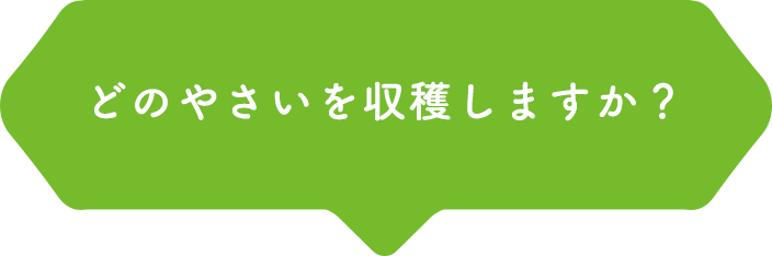 どのやさいを栽培しますか？